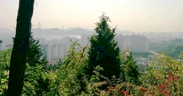Looking out over Gwangyang